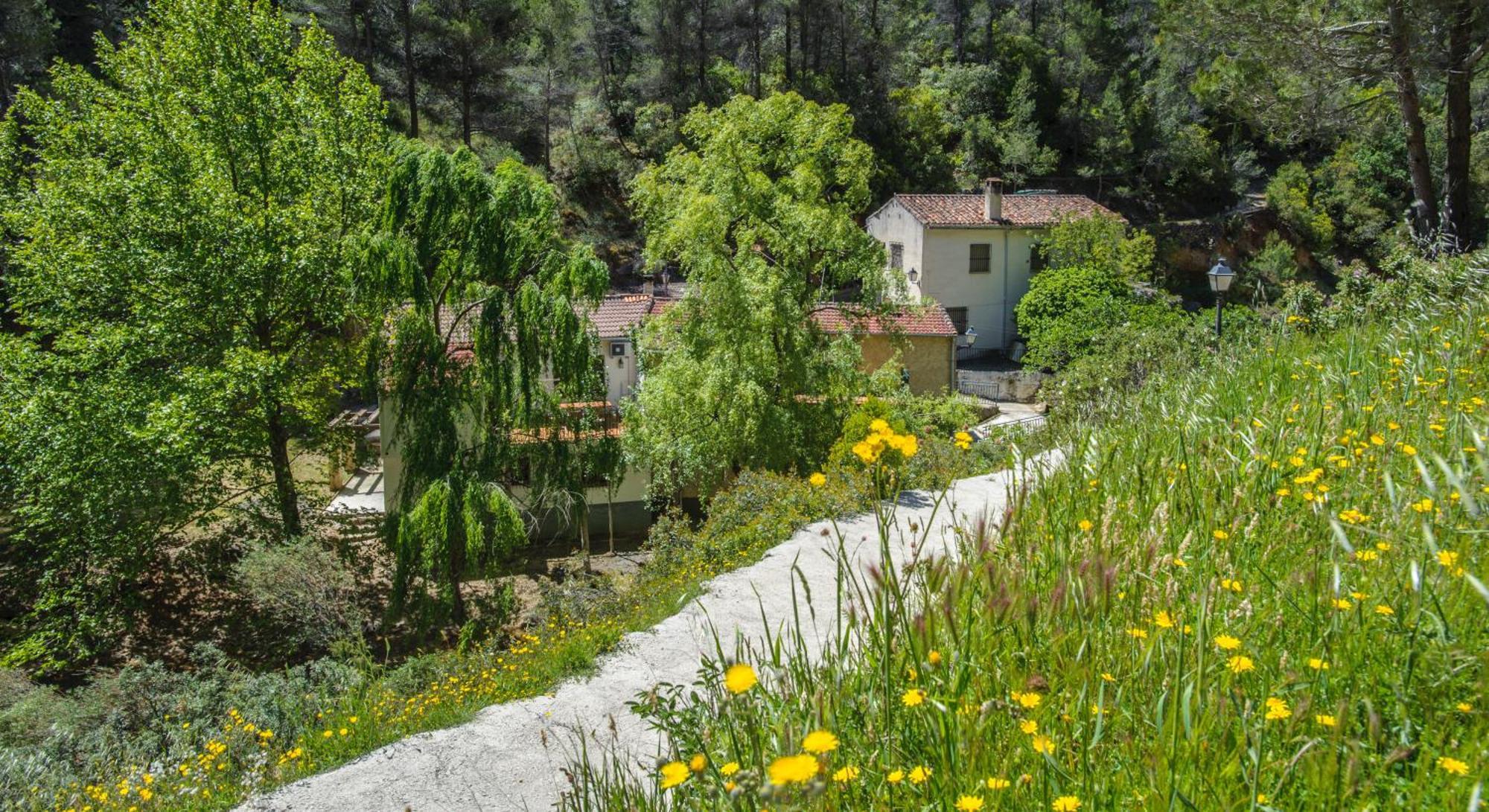 Casa Rural Molino Jaraiz Yeste Ngoại thất bức ảnh